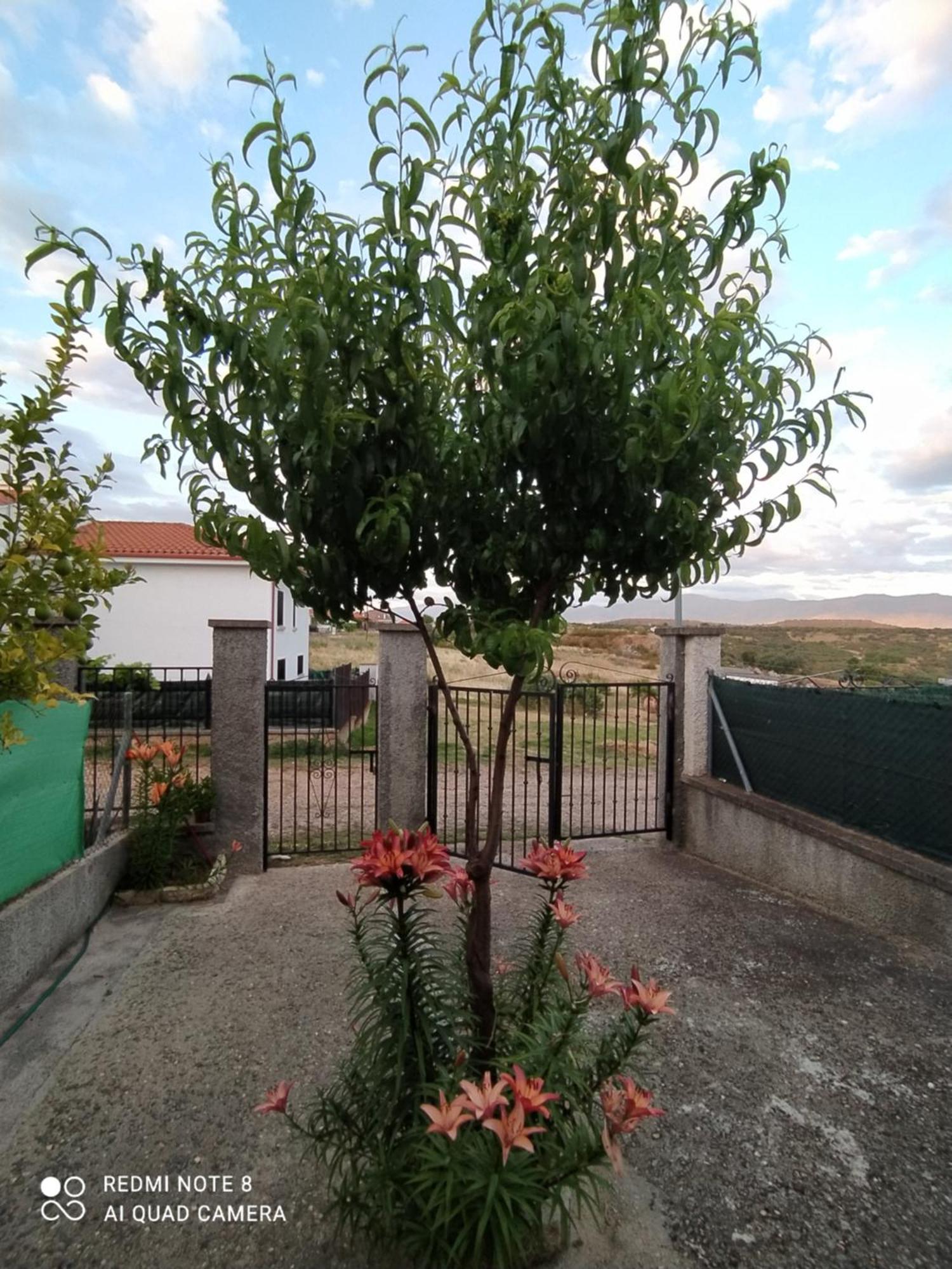 Apartamentos La Presa Guijo de Granadilla Exterior photo